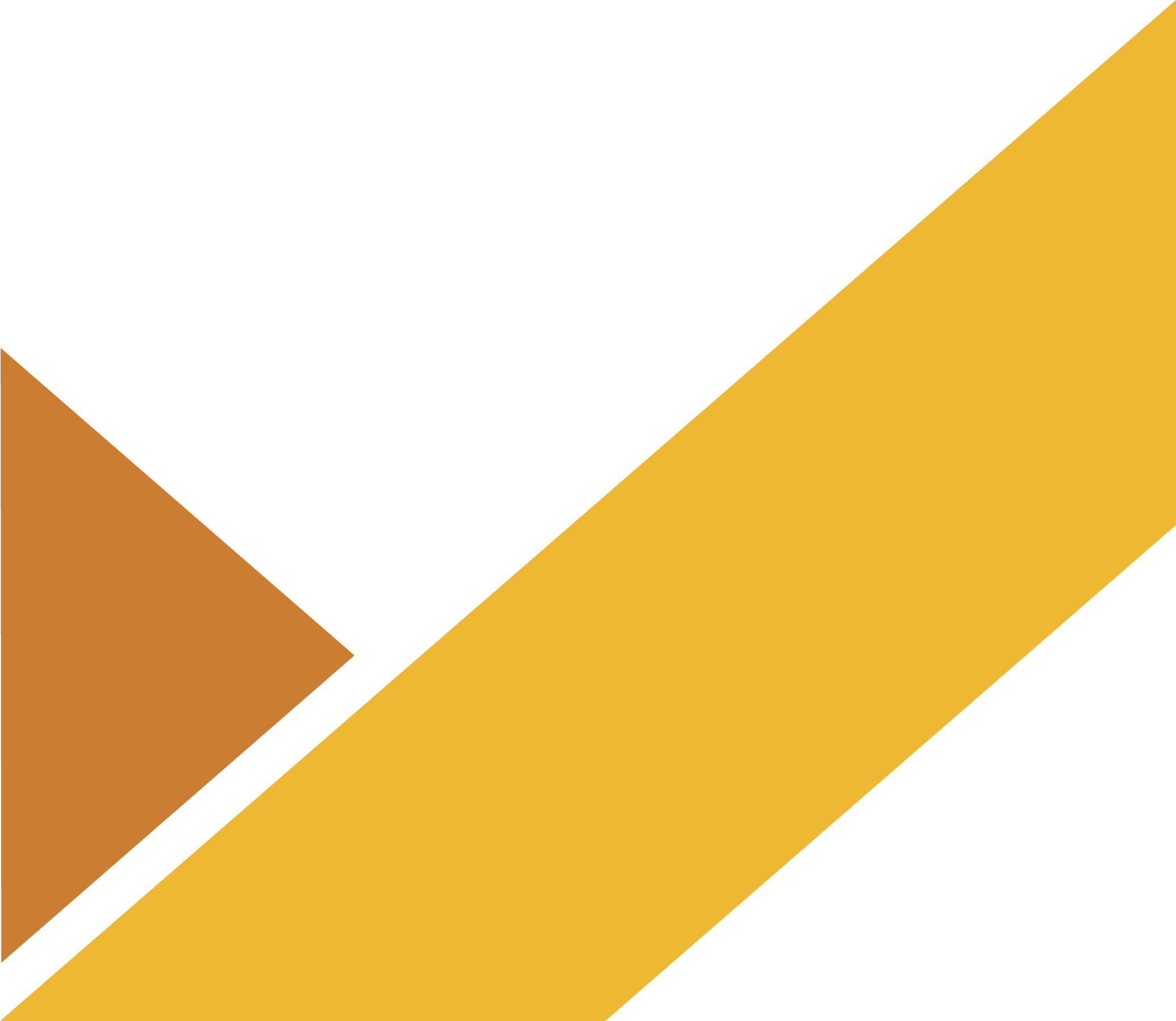隆景体育 Logo